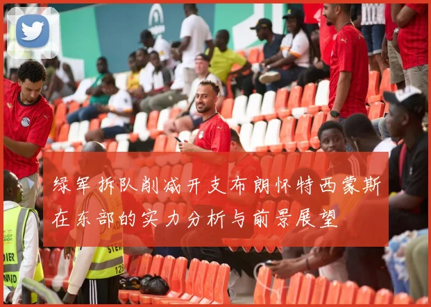 绿军拆队削减开支布朗怀特西蒙斯在东部的实力分析与前景展望