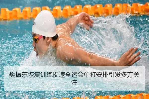 樊振东恢复训练提速全运会单打安排引发多方关注 - PGSoft